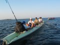 IMG_3552 * 2272 x 1704 * (1.63MB)