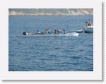 IMG_0436 * 2816 x 2112 * (3.2MB)