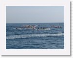 IMG_0467 * 2816 x 2112 * (2.96MB)