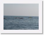 IMG_0511 * 2816 x 2112 * (2.61MB)