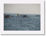 IMG_0666 * 2816 x 2112 * (2.31MB)