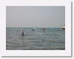 DSCN3535 * 2288 x 1712 * (1.27MB)