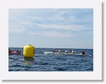 IMG_3606 * 2200 x 1650 * (2.25MB)