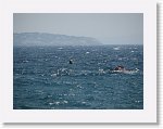 IMG_5603 * 2816 x 2112 * (2.63MB)