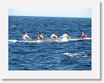 IMG_8768 * 2816 x 2112 * (3.61MB)
