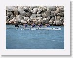 IMG_6604 * 2816 x 2112 * (3.34MB)