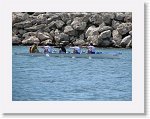 IMG_6777 * 2816 x 2112 * (3.44MB)