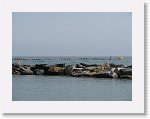 IMG_3183 * 2816 x 2112 * (2.33MB)