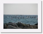 IMG_3479 * 2816 x 2112 * (2.14MB)