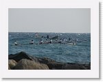 IMG_3483 * 2200 x 1650 * (2.28MB)