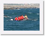 IMG_3571 * 1800 x 1350 * (1.72MB)