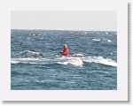 IMG_3689 * 1000 x 750 * (531KB)