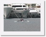 IMG_7173 * 2816 x 2112 * (3.72MB)