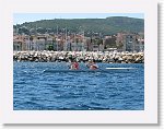 IMG_5961 * 2816 x 2112 * (3.55MB)