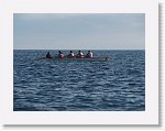 IMG_6823 * 2816 x 2112 * (2.6MB)