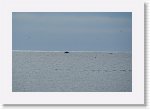 DSC06556 * 3872 x 2592 * (2.43MB)