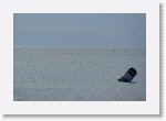 DSC06561 * 3872 x 2592 * (2.72MB)