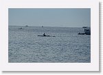 DSC06570 * 3872 x 2592 * (3.07MB)