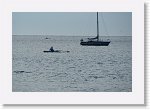 DSC06573 * 3872 x 2592 * (2.98MB)