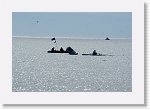 DSC06577 * 3872 x 2592 * (3.64MB)