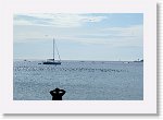 DSC06638 * 3872 x 2592 * (2.88MB)