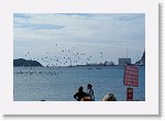 DSC06640 * 3872 x 2592 * (2.64MB)