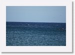 DSC06950 * 3872 x 2592 * (2.43MB)