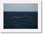 IMG_7387 * 2816 x 2112 * (2.5MB)