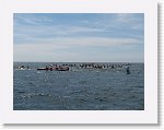 IMG_1960 * 2816 x 2112 * (2.49MB)