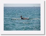 IMG_2052 * 2816 x 2112 * (3.24MB)