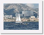 IMG_3971 * 2000 x 1500 * (2.39MB)