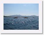 IMG_5324 * 2816 x 2112 * (2.5MB)
