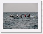 IMG_7071 * 2816 x 2112 * (2.27MB)