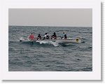 IMG_7081 * 2000 x 1500 * (2.04MB)
