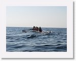 IMG_2788 * 4000 x 3000 * (3.01MB)