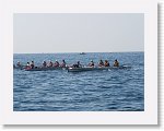 IMG_3078 * 4000 x 3000 * (3.51MB)