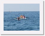 IMG_3083 * 4000 x 3000 * (3.99MB)