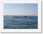 IMG_3139 * 4000 x 3000 * (3.11MB)