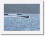 IMG_3147 * 4000 x 3000 * (3.81MB)