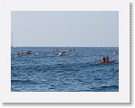 IMG_3201 * 4000 x 3000 * (3.56MB)