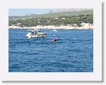 IMG_3395 * 4000 x 3000 * (4.35MB)