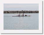 IMG_7210 * 4000 x 3000 * (2.65MB)