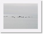 IMG_7227 * 4000 x 3000 * (2.13MB)
