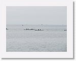 IMG_7231 * 4000 x 3000 * (2.32MB)