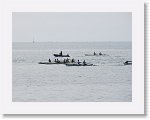 IMG_7233 * 4000 x 3000 * (2.42MB)