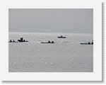 IMG_7234 * 4000 x 3000 * (2.79MB)