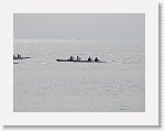 IMG_7238 * 4000 x 3000 * (2.67MB)