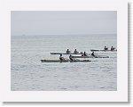 IMG_7244 * 4000 x 3000 * (2.61MB)