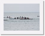 IMG_7247 * 4000 x 3000 * (2.81MB)