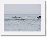 IMG_7254 * 4000 x 3000 * (2.62MB)